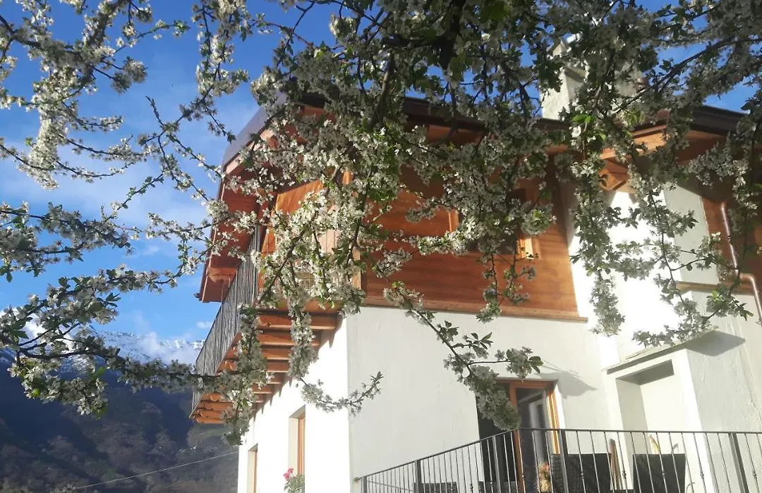 La Locanda Del Mulino-1