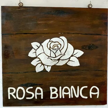 Rosa Bianca-2